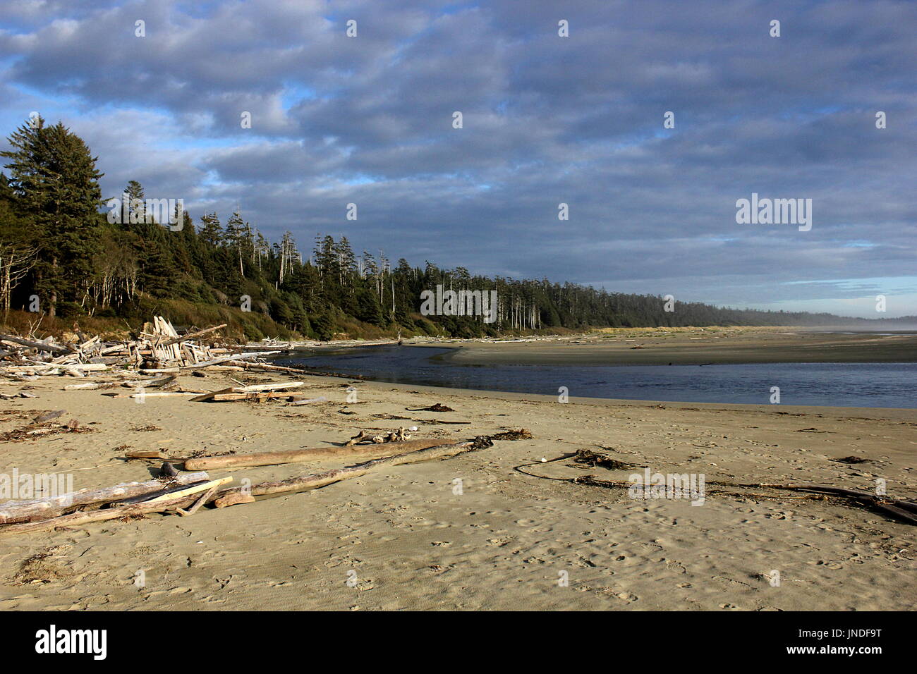 Desolate Long Beach near Tofino in the Pacific Rim National Park Reserve on Vancouver Island, British Columbia Stock Photo
