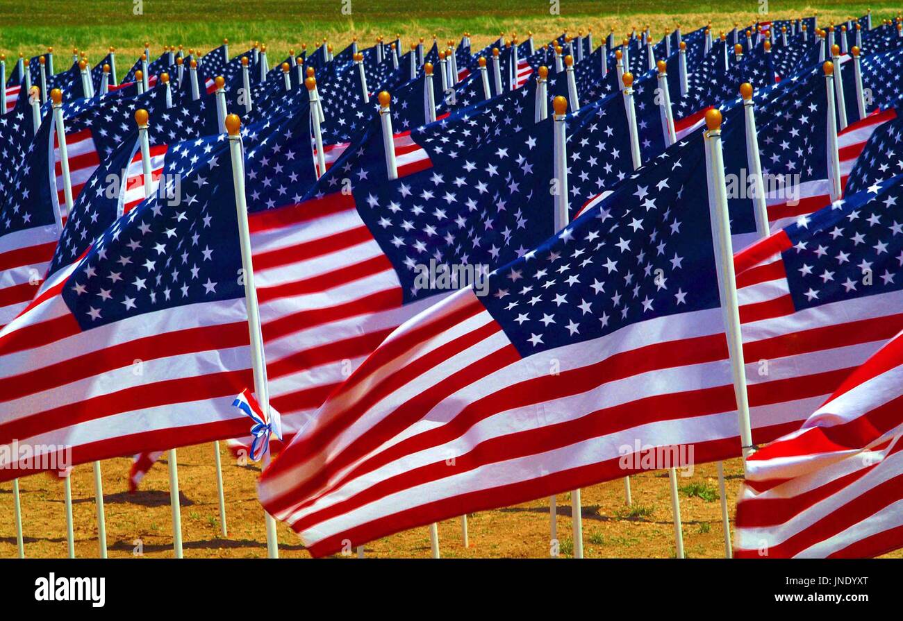 Flags flying in a field to remember Americans killed in Iraq. Stock Photo