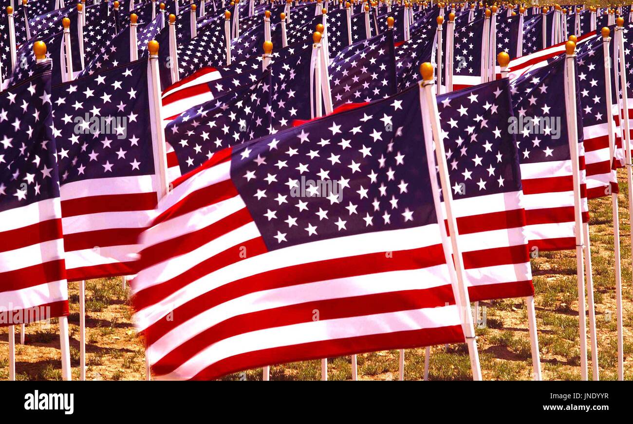 Flags flying in a field to remember Americans killed in Iraq. Stock Photo