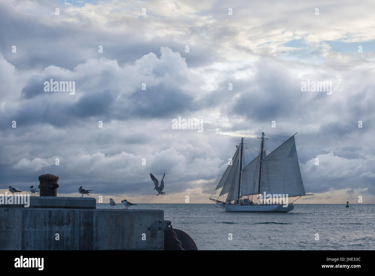 Image taken from sunset pier in Key West Florida. Sailboat sailing with dramatic storm clouds, seagulls. Stock Photo