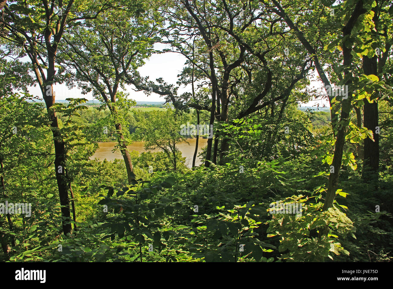 Are Dogs Allowed At Fontenelle Forest