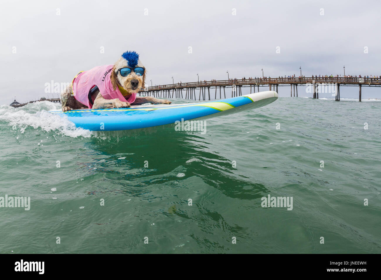 Imperial Beach, CA, US. 29th July, 2017. Surfdog returns to Imperial Beach for the twelfth year.Derby surfing. Credit: Daren Fentiman/ZUMA Wire/Alamy Live News Stock Photo