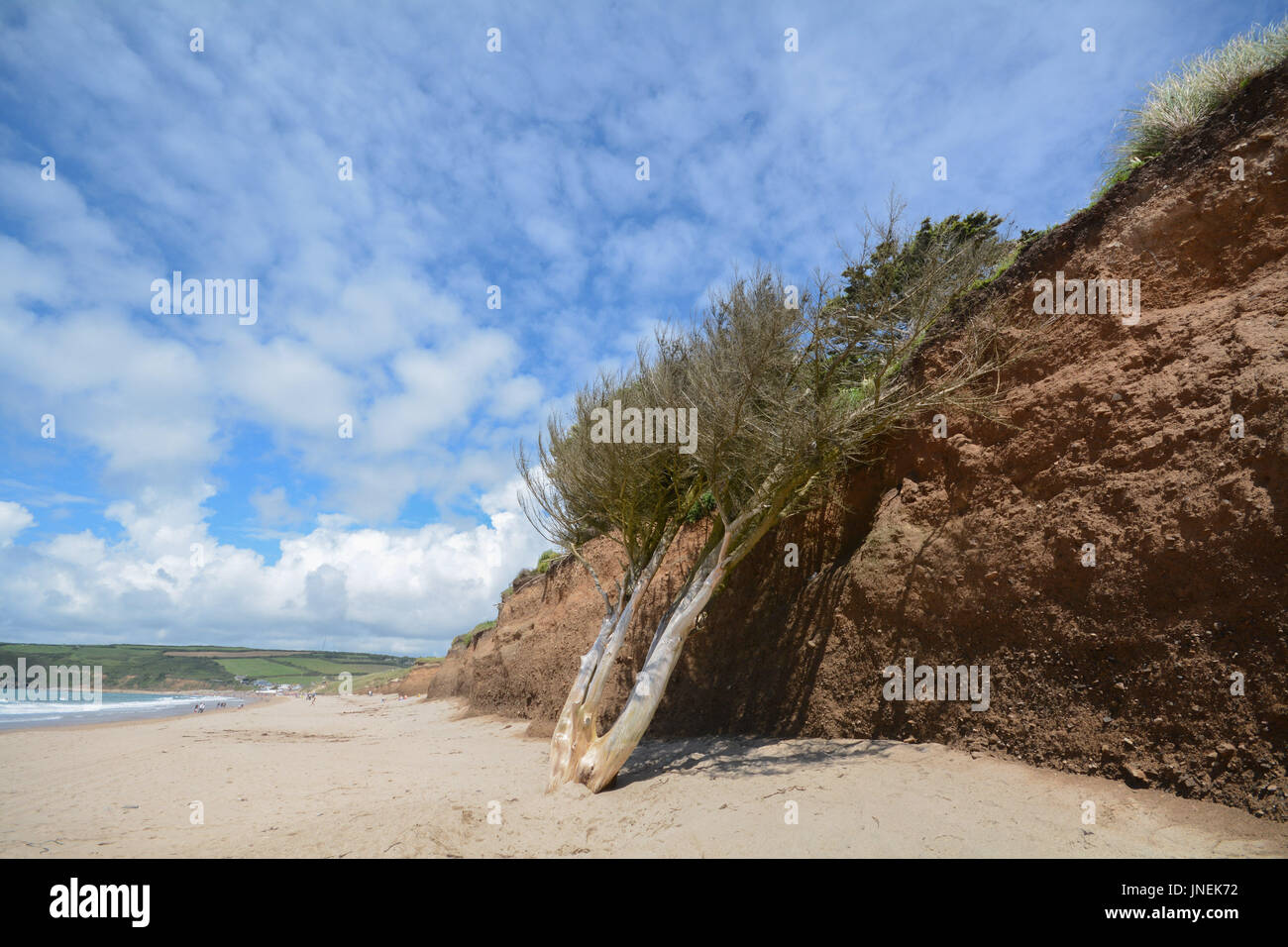 Praa Sands, Cornwall, UK. 30th July 2017. UK Weather. Despite gloomy weather forecasts the south west of Cornwall starts the afternoon with bright sunshine, with people making the most of the weather on the  popular beach at Praa Sands. The coast line is suffering erosion at Praa sands, with gardens  of nearby properties starting to collapse onto the beach Credit: cwallpix/Alamy Live News Stock Photo