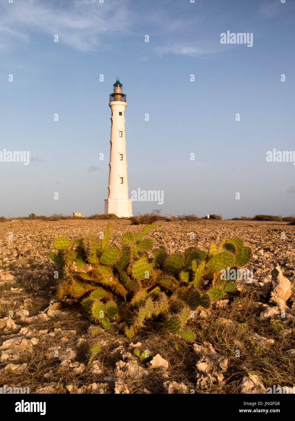 California Lighthouse; Aruba Stock Photo