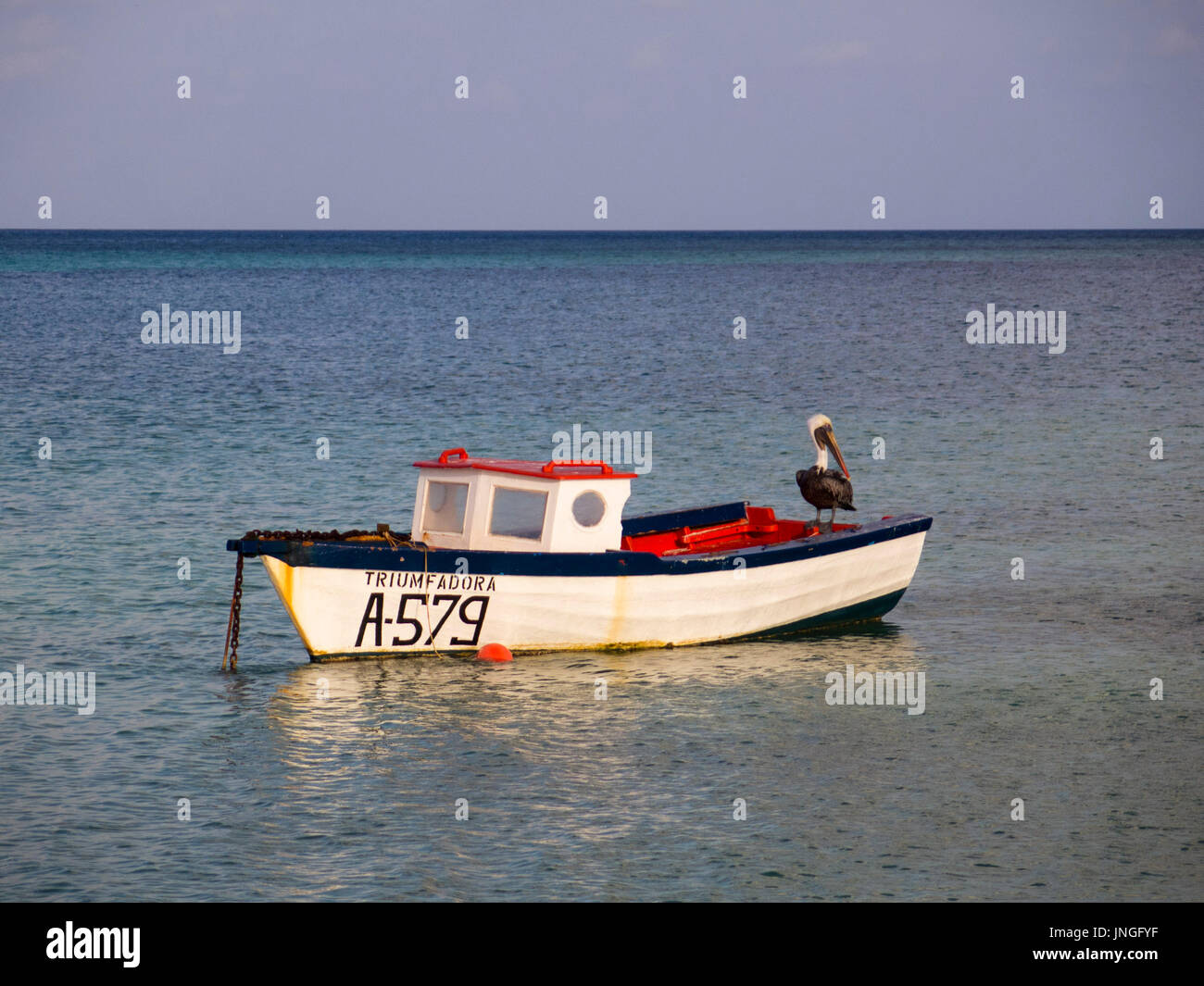 fishing boat with Pelican on back Stock Photo