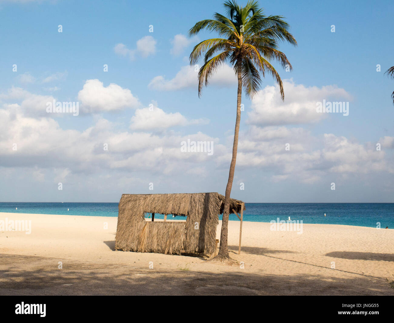Shelter and palm tree on beach Stock Photo