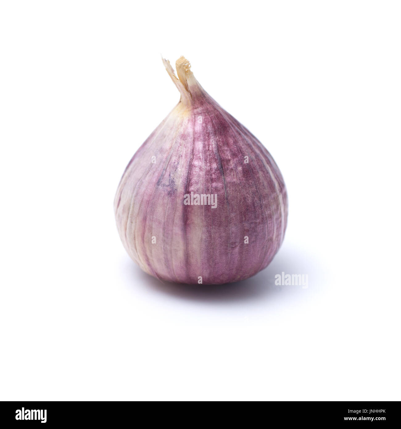 Garlic or Allium ampeloprasum var. ampeloprasum isolated on white background Stock Photo