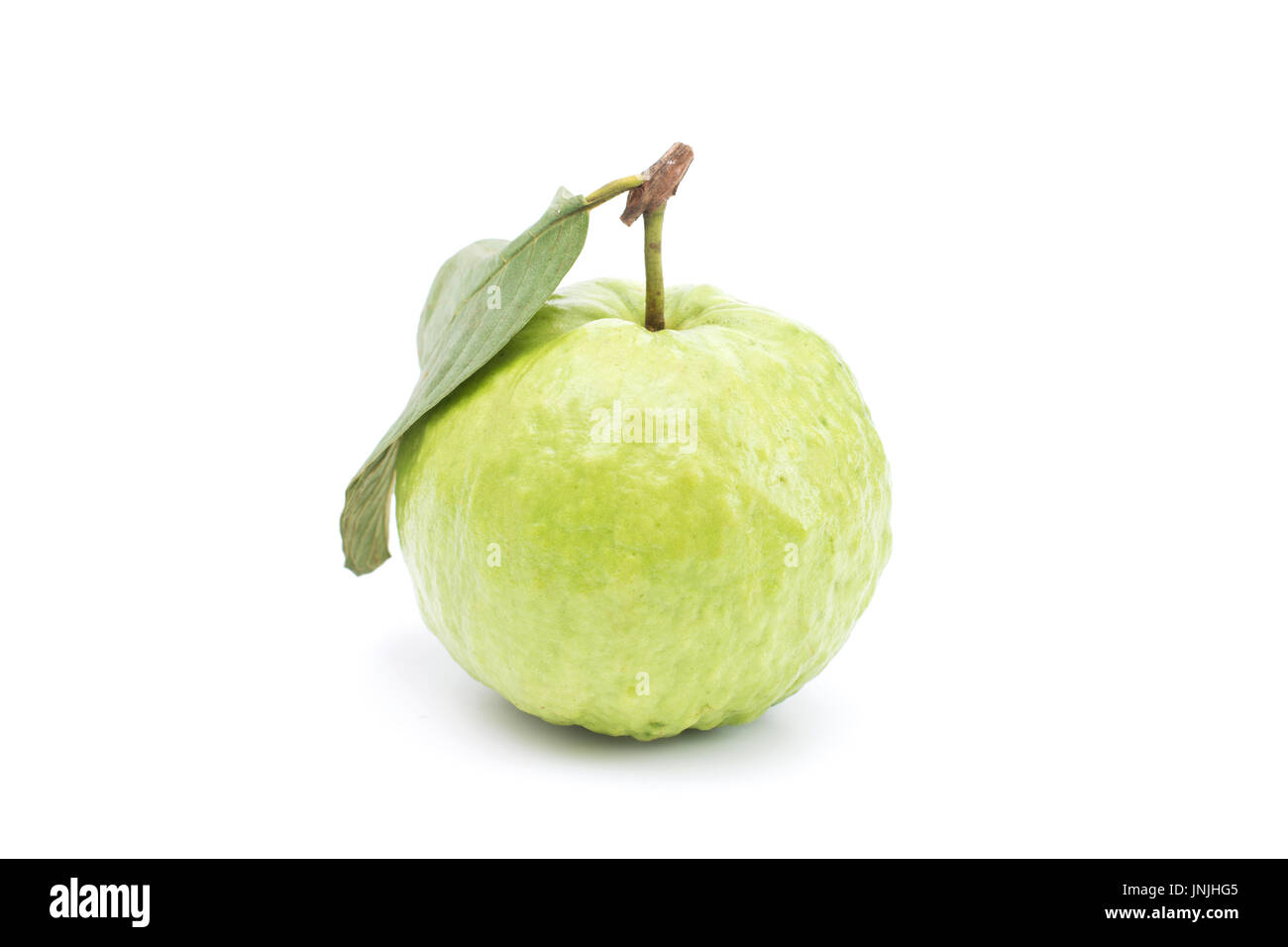 Guava isolated on white background. Stock Photo