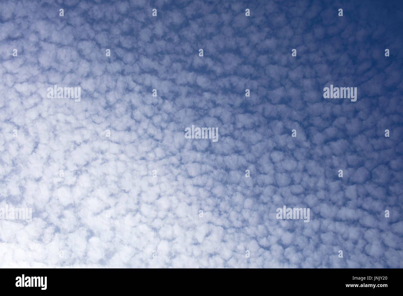 blue mackerel sky full of clouds Stock Photo Alamy