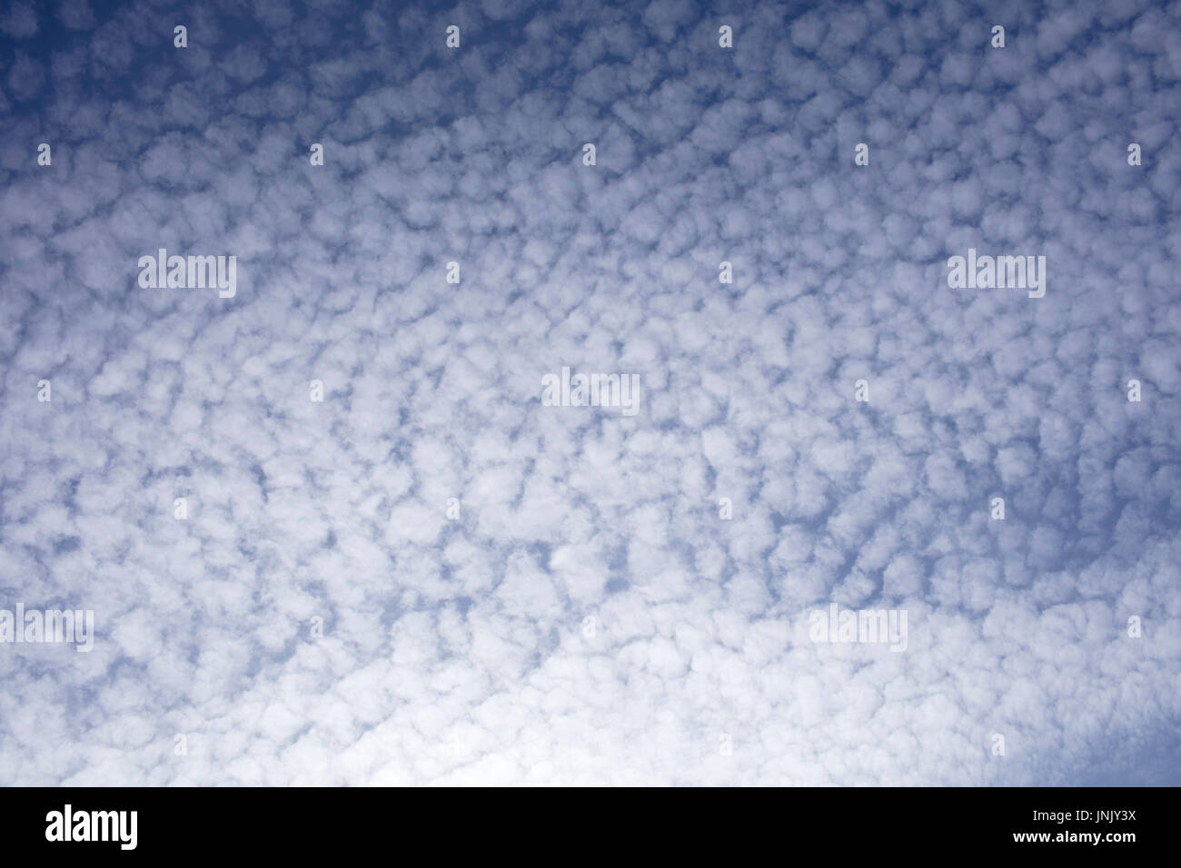 blue mackerel sky full of clouds Stock Photo Alamy