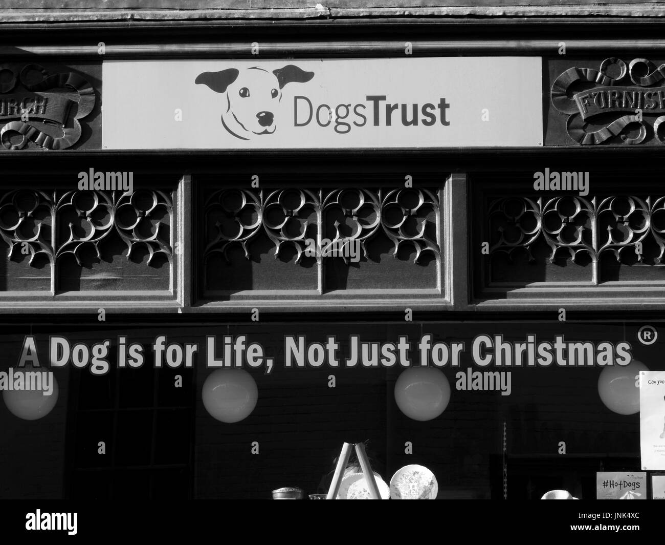 Dog Trust animal charity shop with a dog is for life not just for
