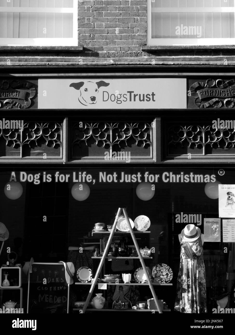 Dog Trust animal charity shop with a dog is for life not just for