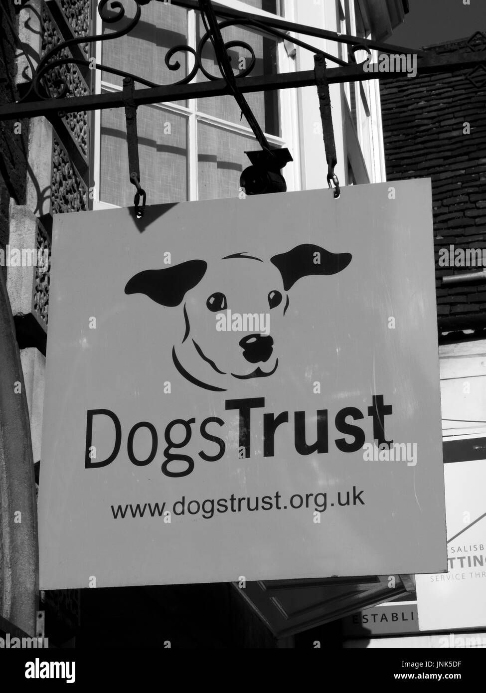 Dog Trust animal charity sign over retail unit, formerly known as the National Canine Defence League, animal welfare charity and humane society Stock Photo