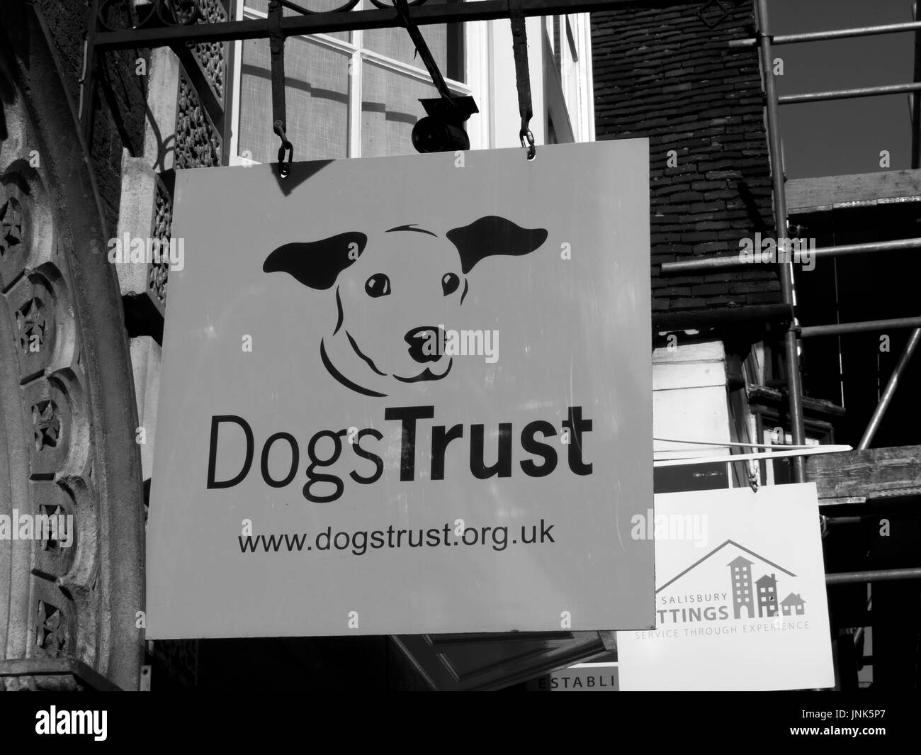 Dog Trust animal charity sign over retail unit, formerly known as the  National Canine Defence League, animal welfare charity and humane society  Stock Photo - Alamy