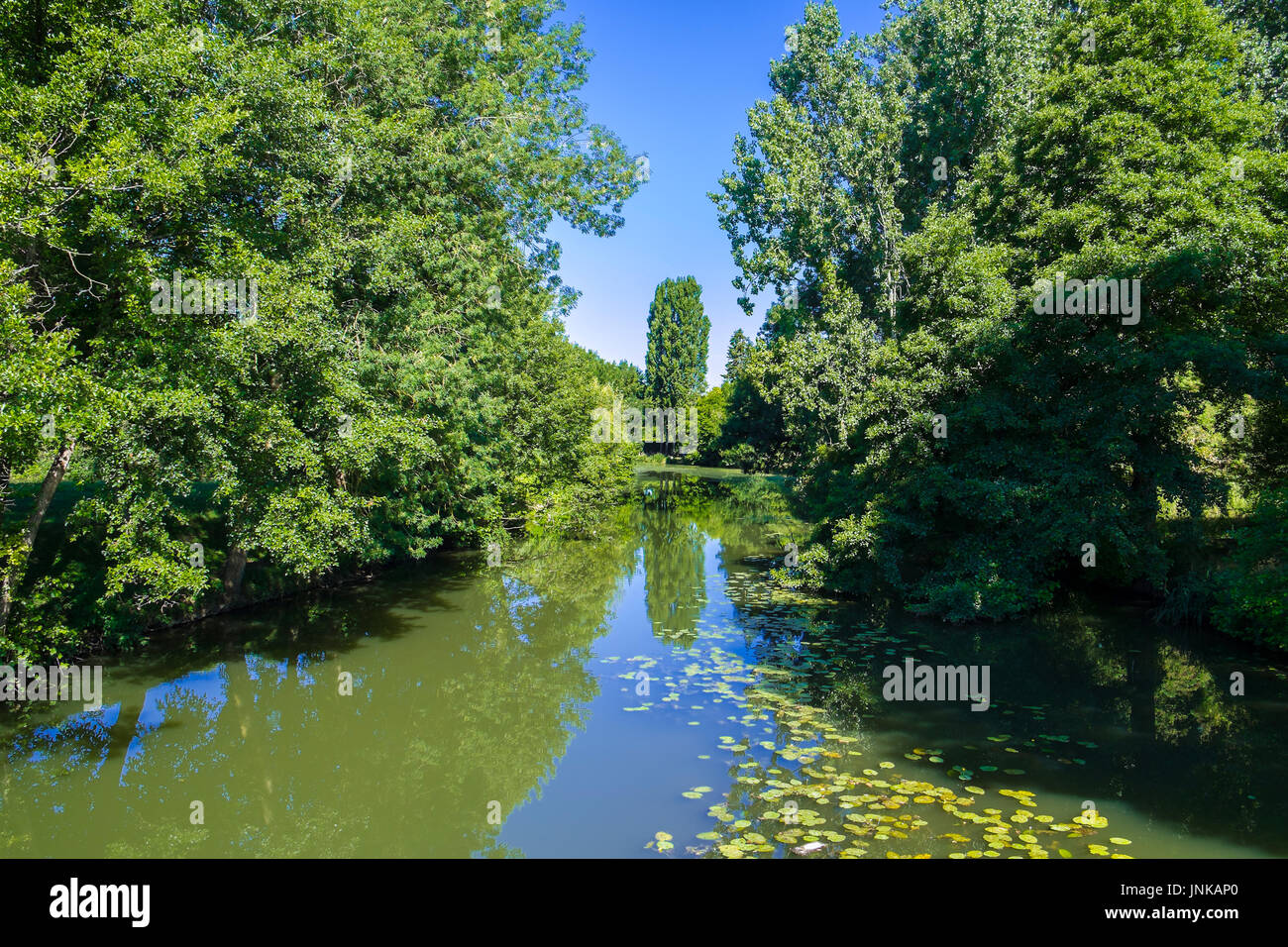 Claise Tree lined river Claise at Bossay-sur-Claise, Fra,ce Stock Photo - Alamy