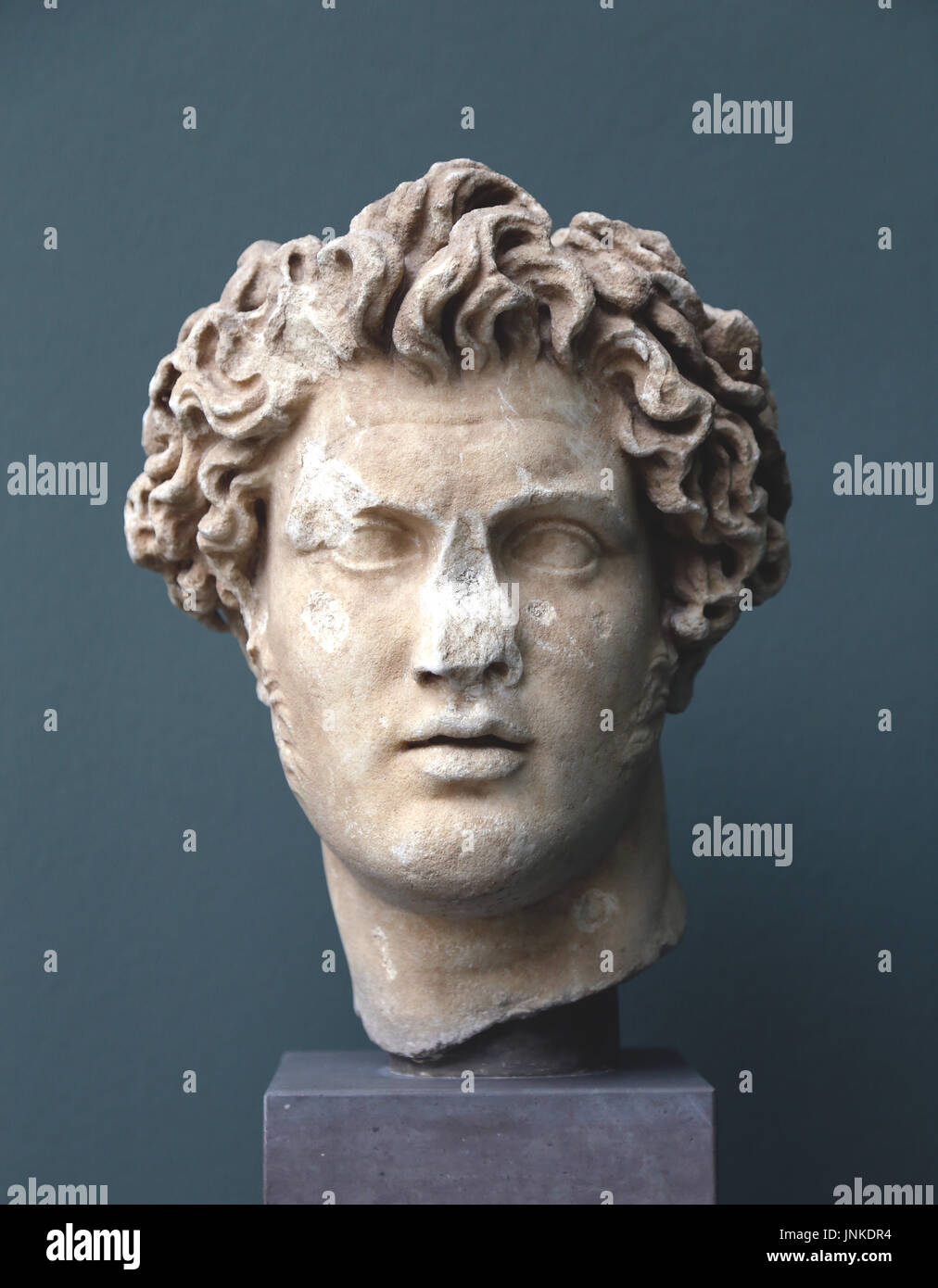 Pyrrhus, King of Epirus (319–272 BC). Roman copy of a Greek 3rd Century BC original. Marble bust. Ny Carlsberg Glyptotek. Stock Photo