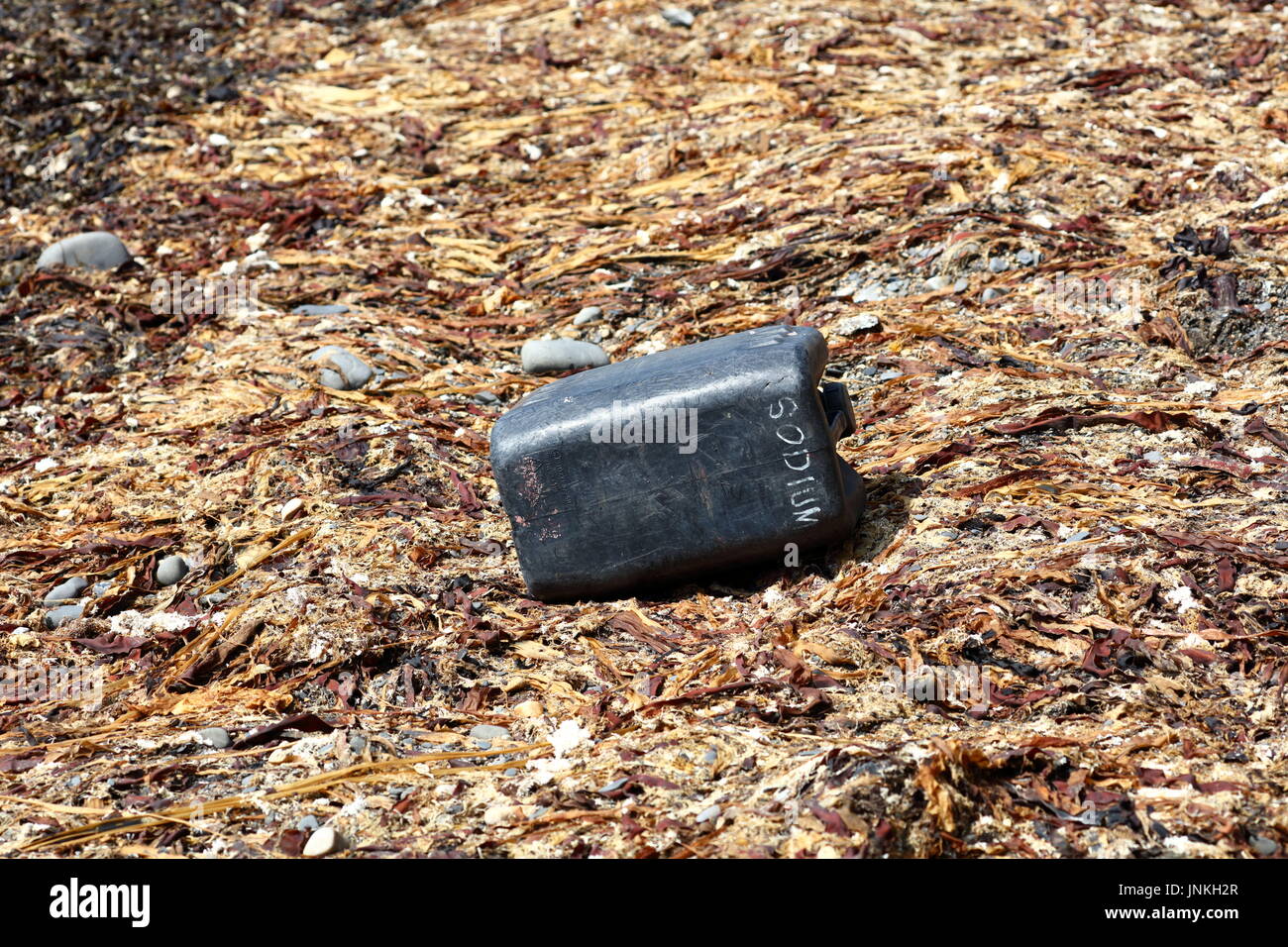 Download Plastic Container Amidst Kelp Seaweed And Shale Washed Up On Beach In Stock Photo Alamy Yellowimages Mockups