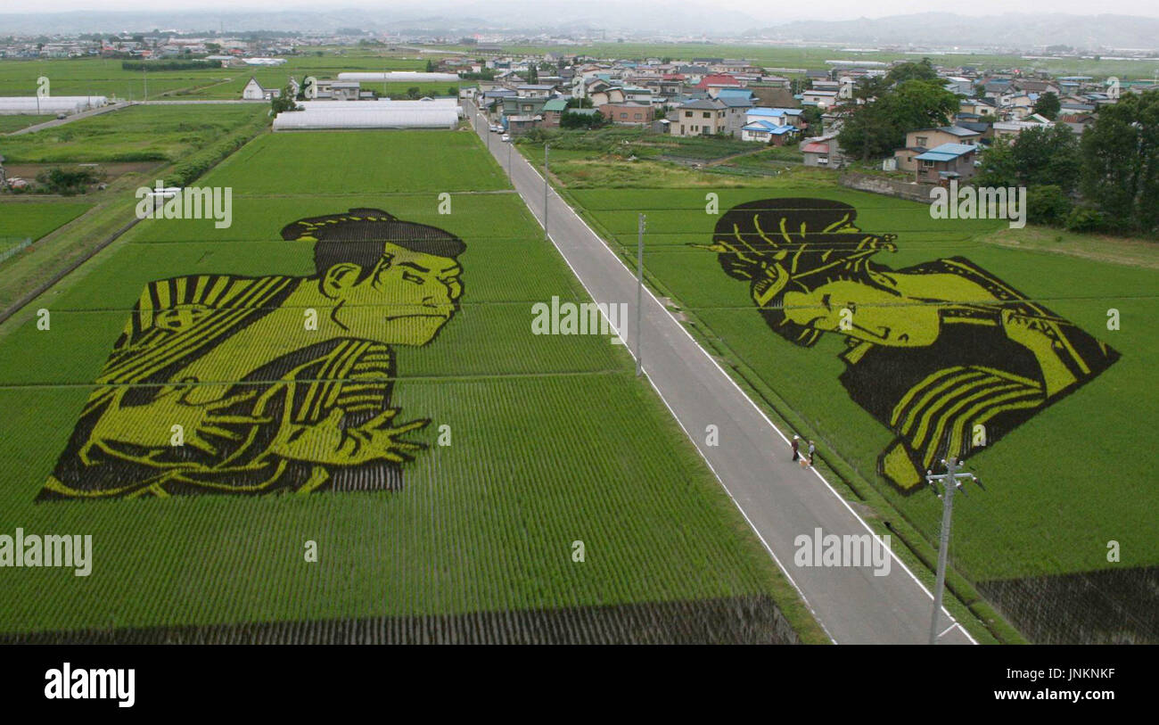 AOMORI, Japan - Rice paddy fields in the village of Inakadate in Aomori ...