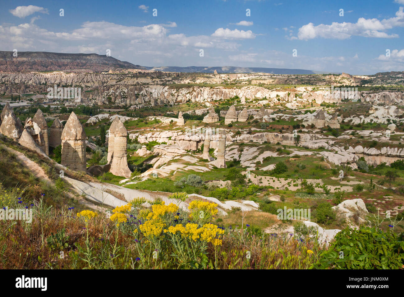 View over the rock formations known as fairy chimneys, in Cappadocia, Turkey. Stock Photo