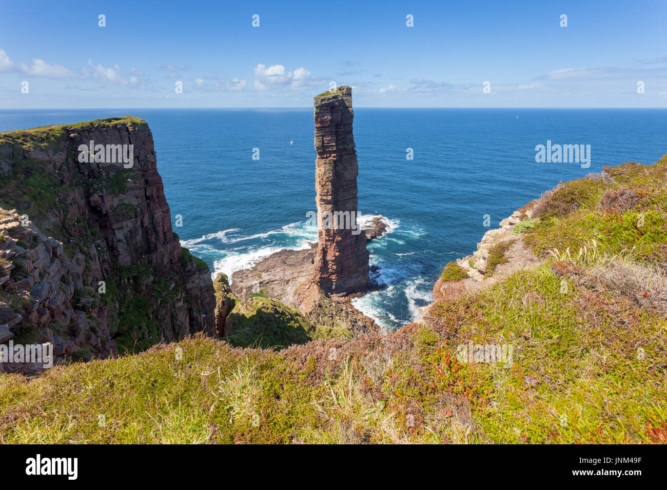 The Old Man of Hoy, a rock stack popular with climbers, Hoy, Orkney UK Stock Photo