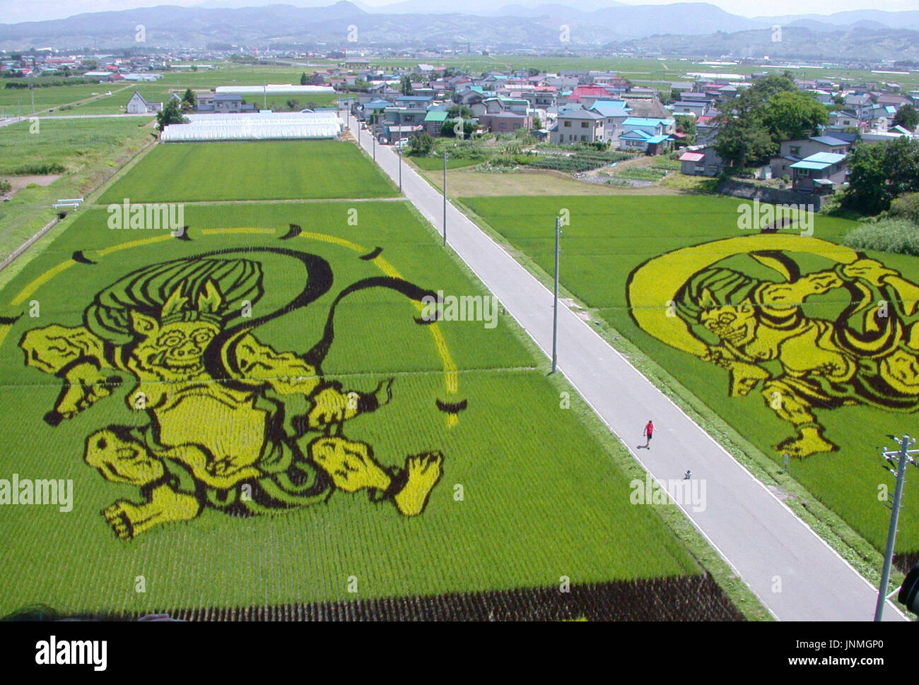 AOMORI, Japan - Rice paddy fields in the village of Inakadate in Aomori ...