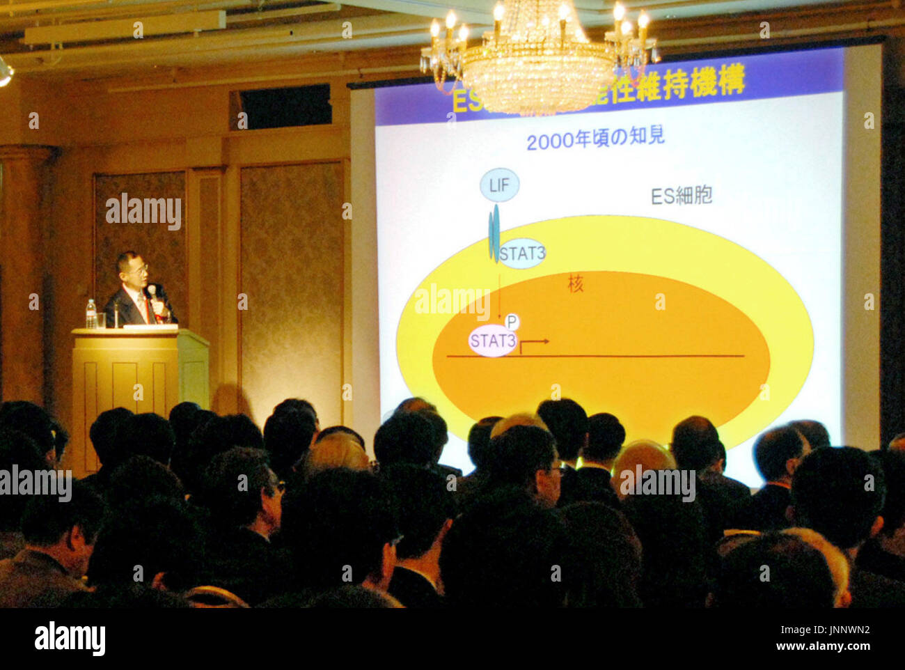 KYOTO, Japan - A symposium on induced pluripotent stem cells, or iPS cells, which have the potential to grow into various kinds of body cells, was held in Kyoto on Dec. 25, with medical experts taking part. (Kyodo) Stock Photo