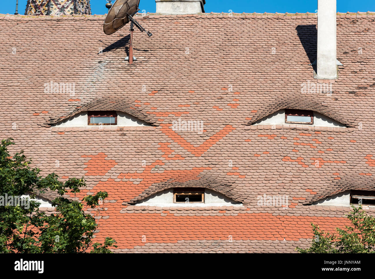 The City's Eyes Sibiu Hermannstadt Romania Art Print