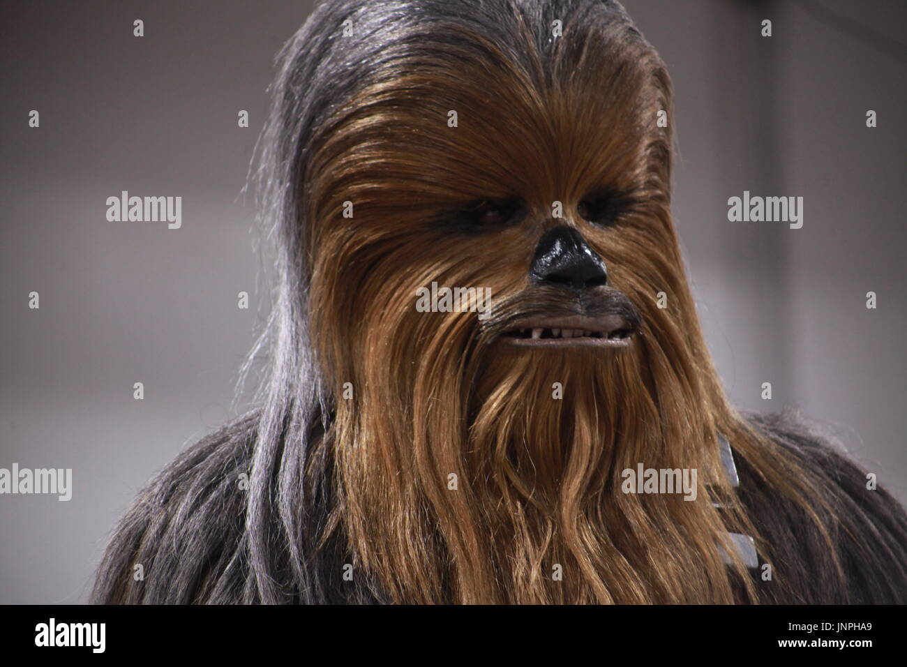 Chewbacca hi-res stock photography and images - Alamy