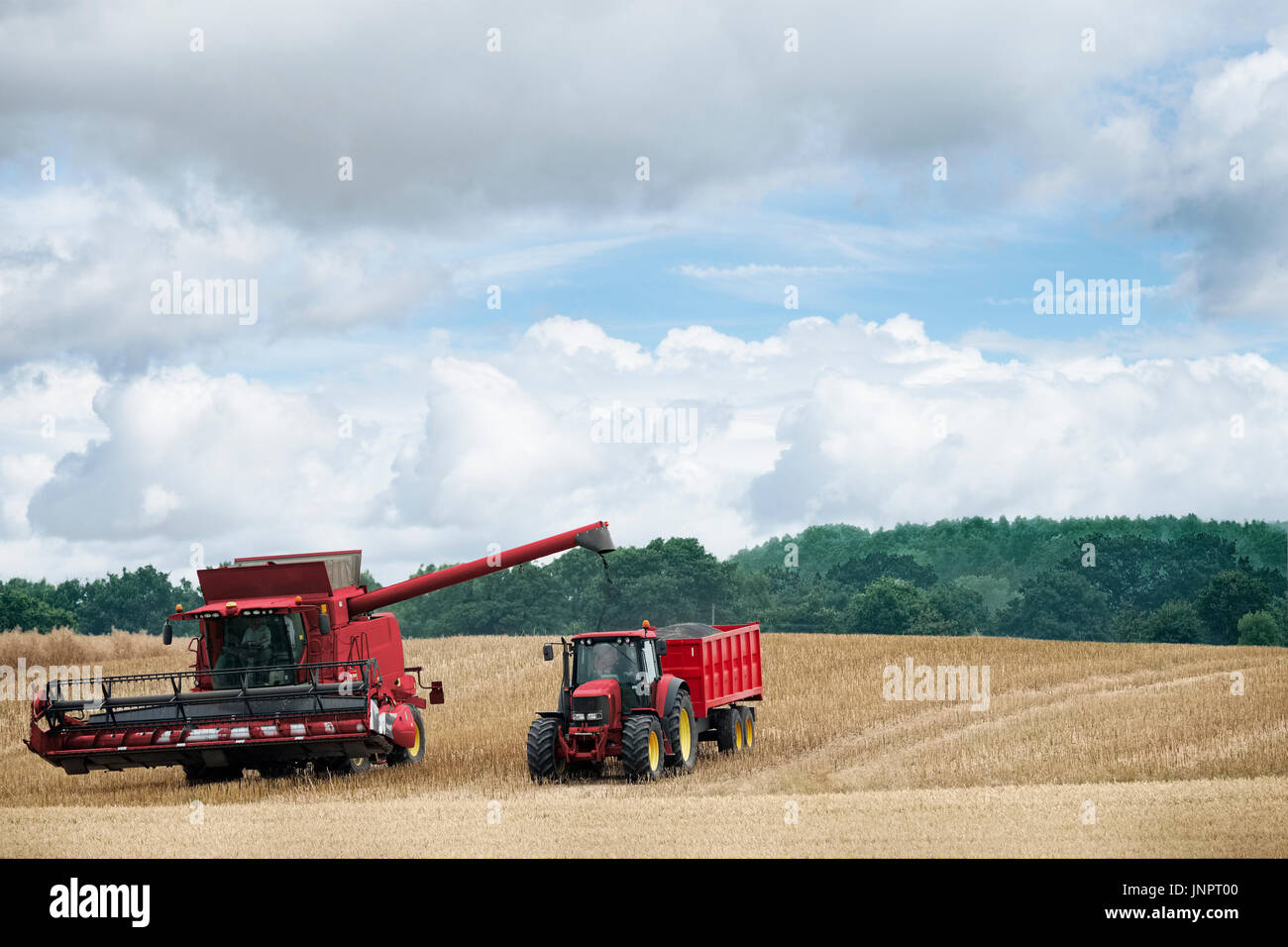 A combine harvester and tractor harvesting wheat Stock Photo Alamy