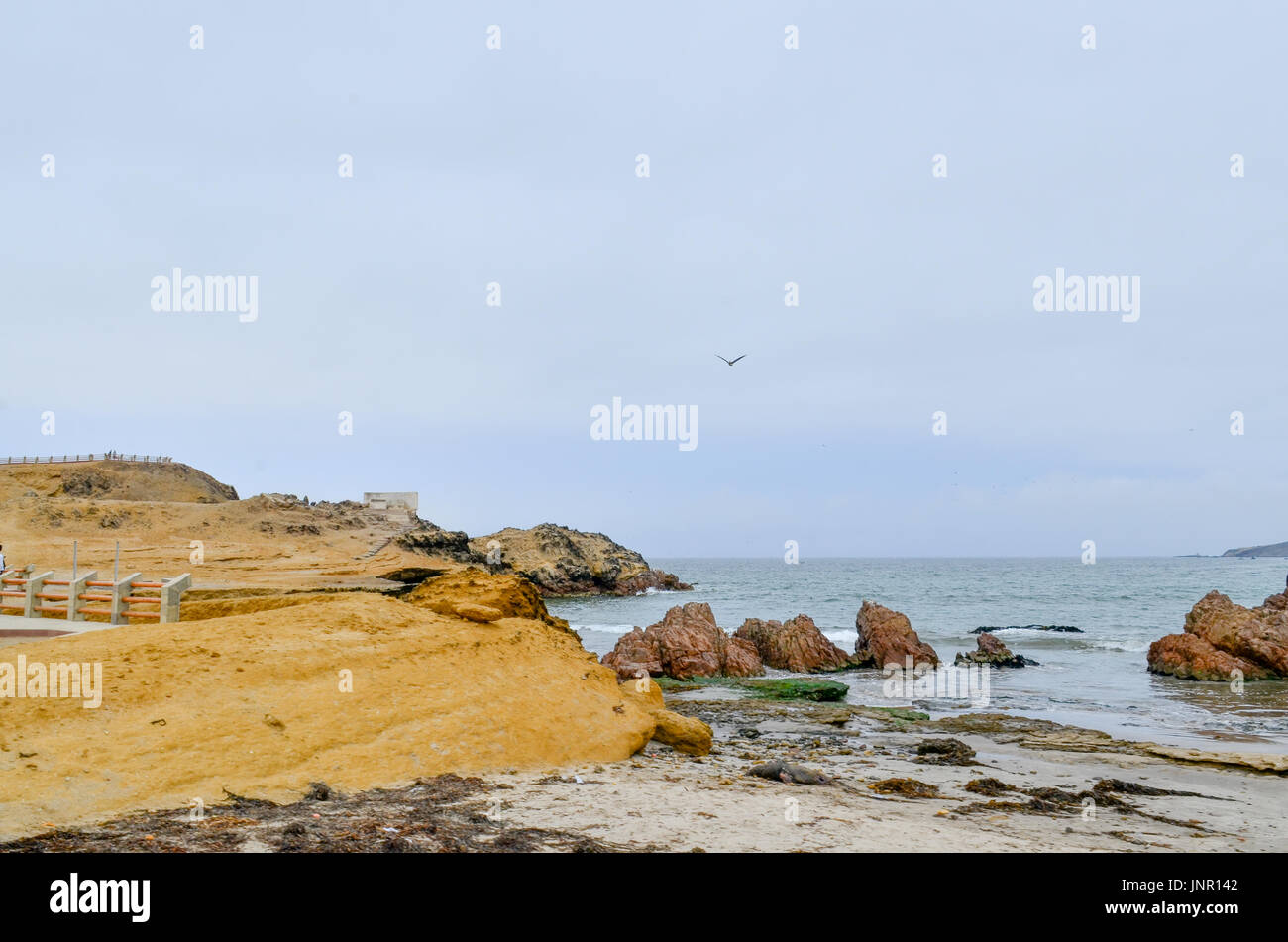 Exploring the desert Stock Photo - Alamy