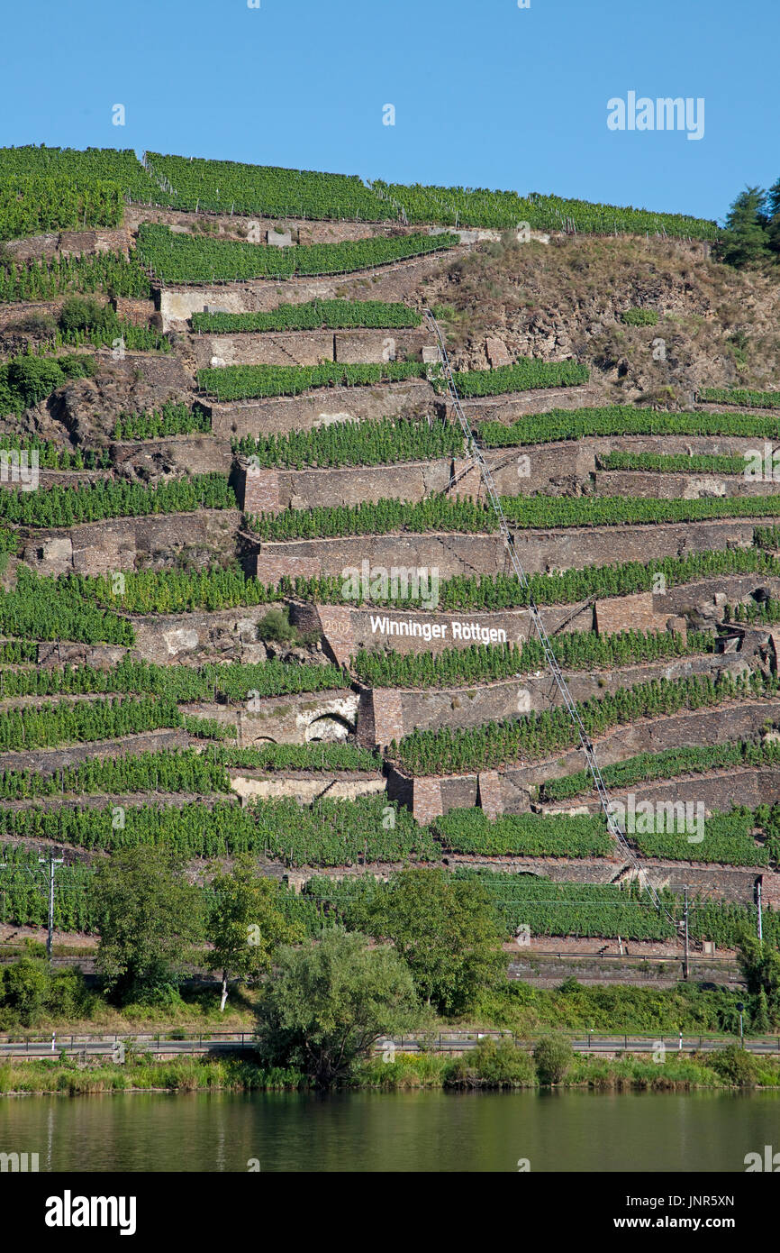 Terrassenmosel, Untermosel, Landkreis Mayen-Koblenz, Rheinland-Pfalz, Deutschland, Europa | wine terrace, Mosel river, Germany Stock Photo