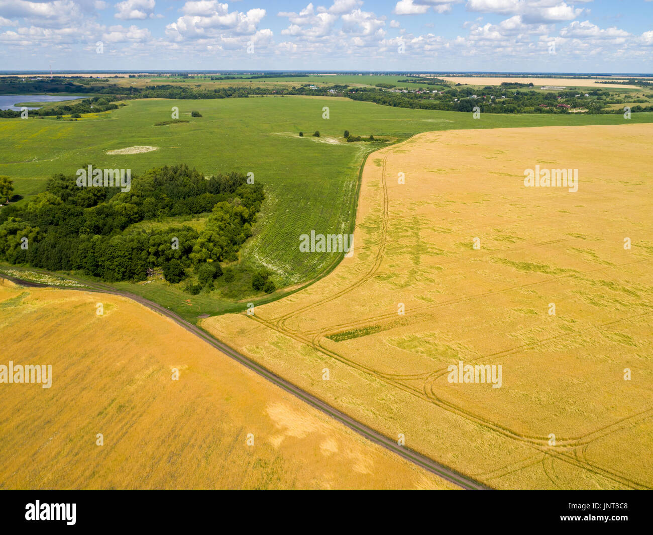 Summer landscape of the central part of Russia Stock Photo - Alamy