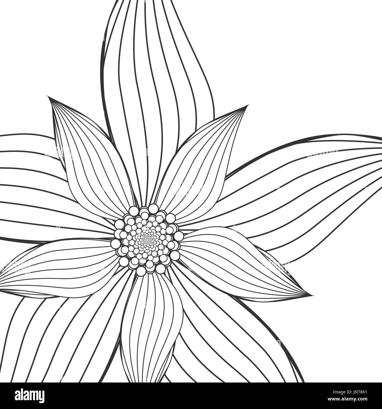 Doodle Flower Isolated on White Background - Vector Illustration Stock ...