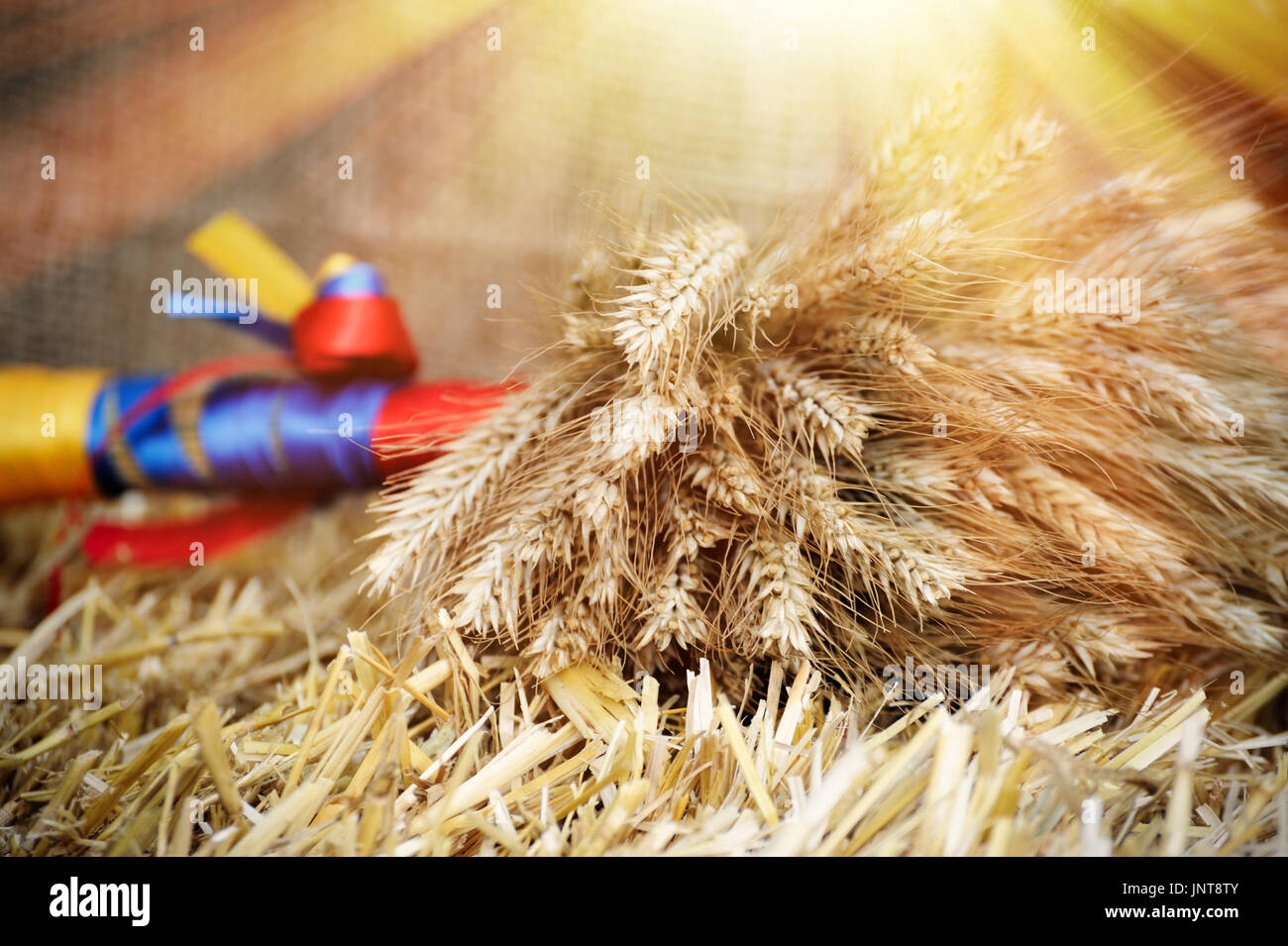 Dried wheat sheaf hi-res stock photography and images - Alamy