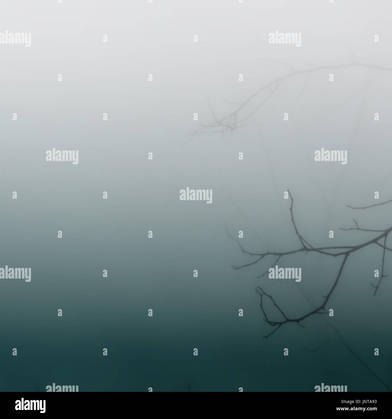 Blurry dark background image hi-res stock photography and images - Alamy