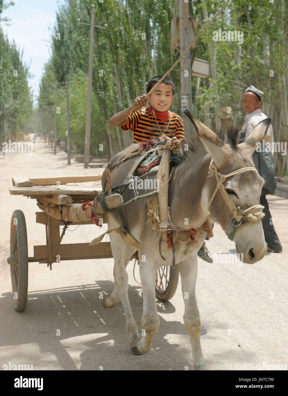 BEIJING, China - A boy is seen steering a wagon pulled by a donkey in ...
