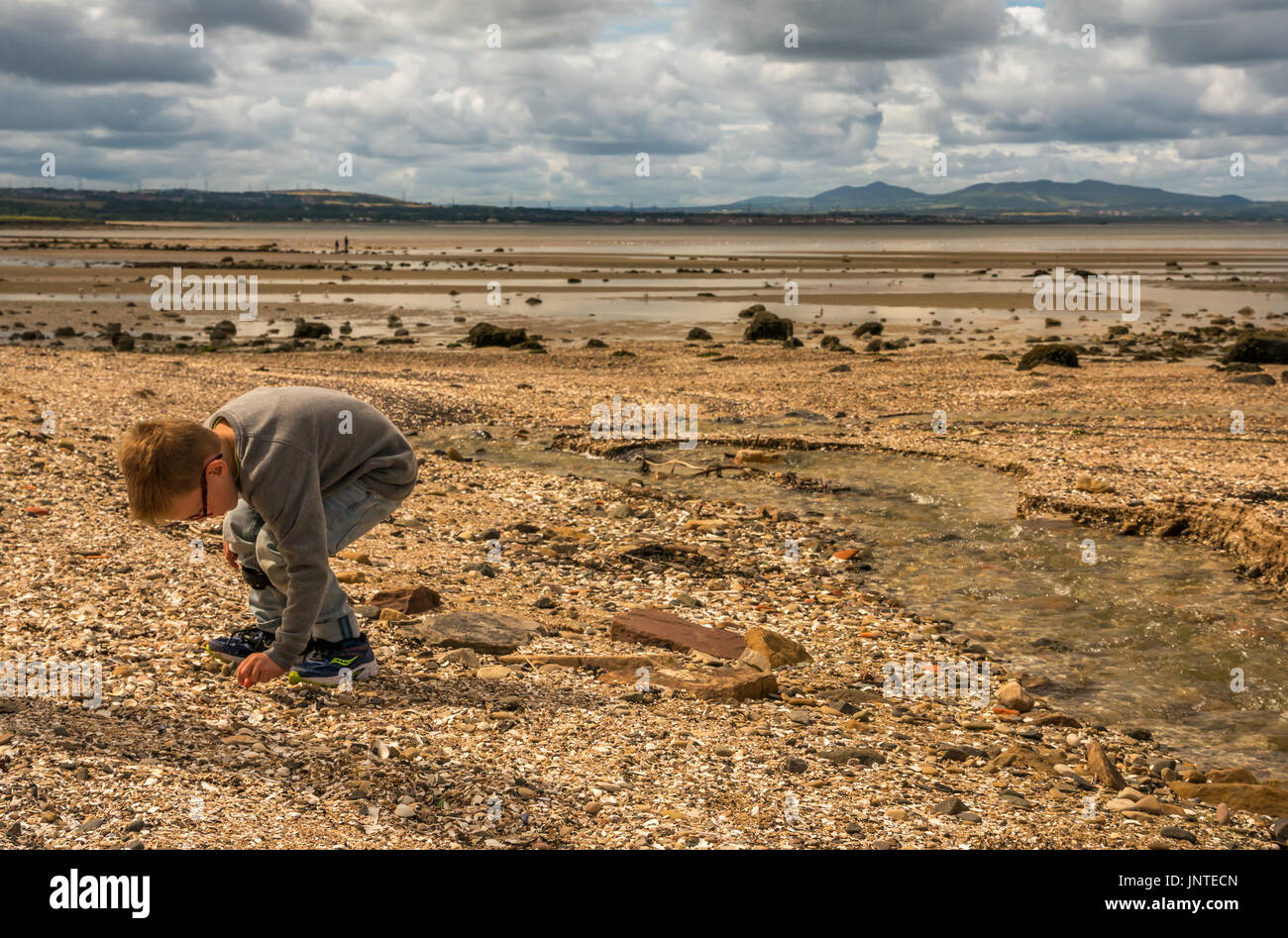 Young boy bending down collecting beach finds on beach with view across Firth of Forth to the Pentland Hills, East Lothian, Scotland, UK Stock Photo