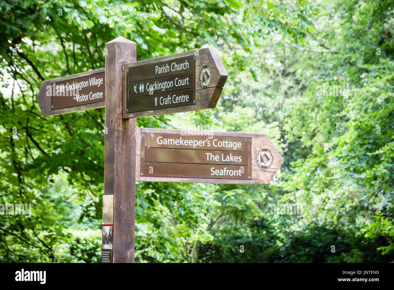 Cockington Sign Directional sign tree trees hi-res stock photography and images - Alamy
