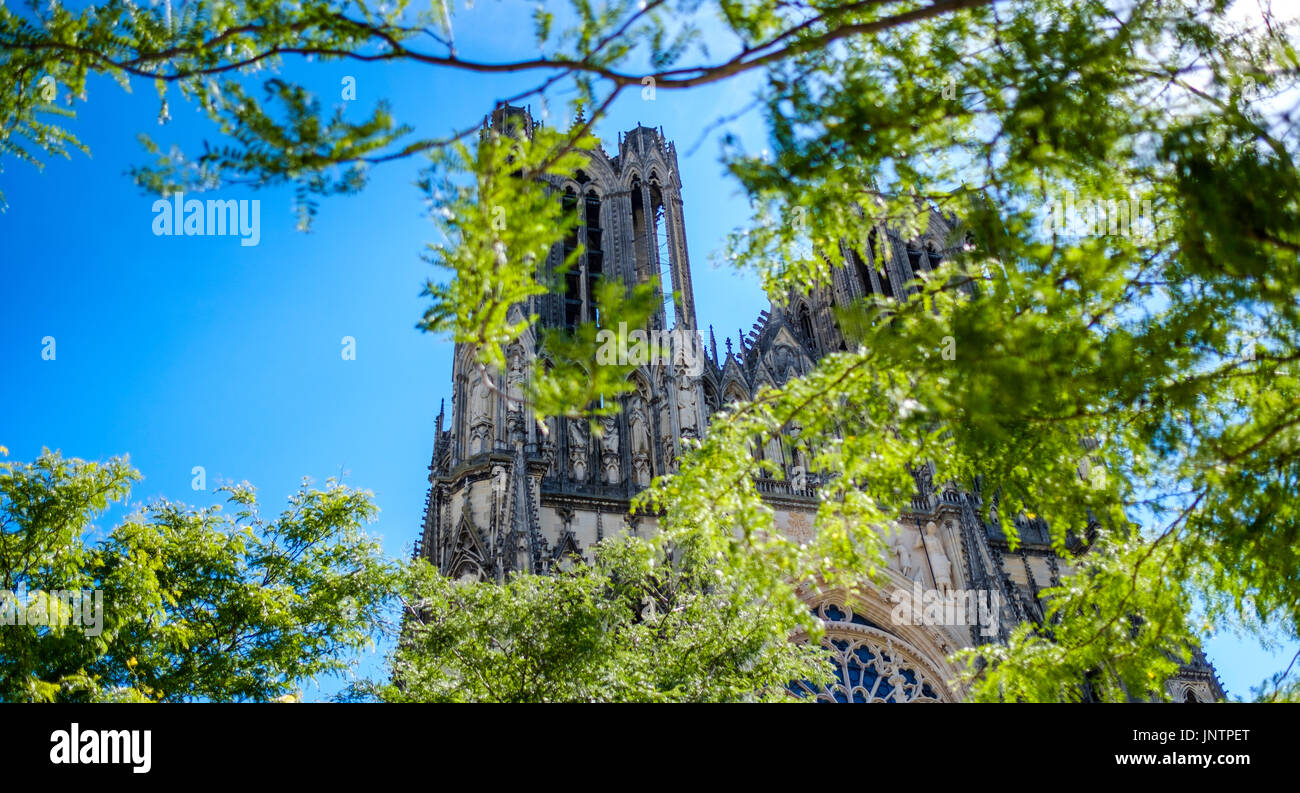 A glimpse of the Reims Cathedral through trees Stock Photo - Alamy