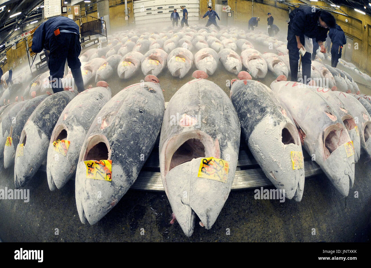 PARIS, France Photo shows tuna auctioned at Tokyo's Tsukiji Fish