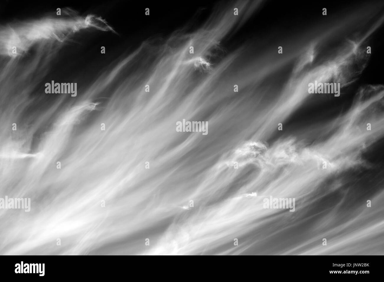 Black and white images of cirrus clouds looking like spirits Stock ...