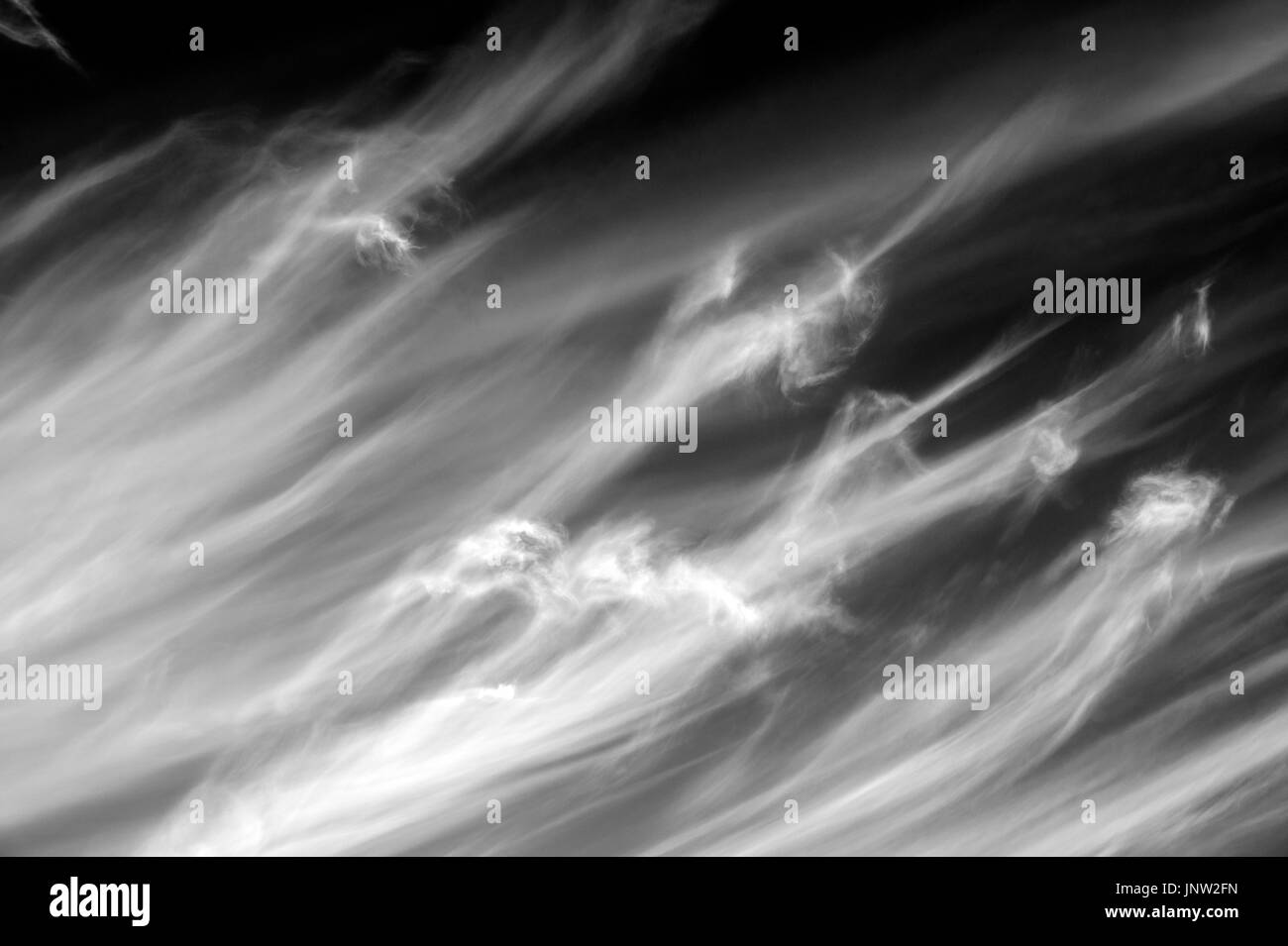 Black and white images of cirrus clouds looking like spirits Stock ...
