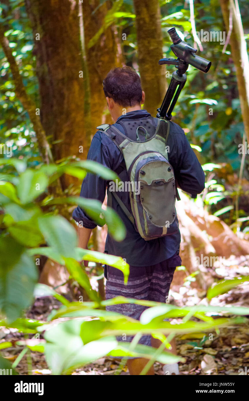 Man is carrying a bird watching monocular on a tripod in rainforests of Costa Rica (Corcovado national park). Stock Photo