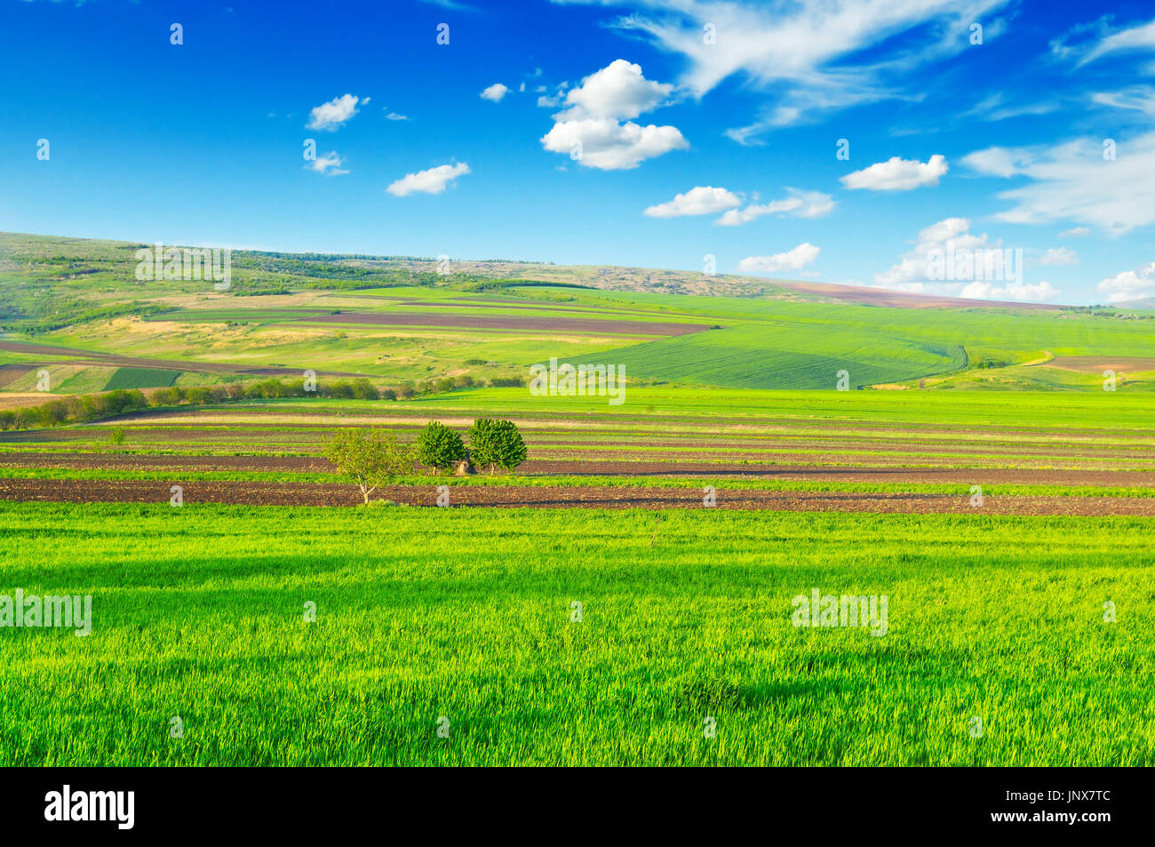 beautiful rural landscape and blue sky Stock Photo
