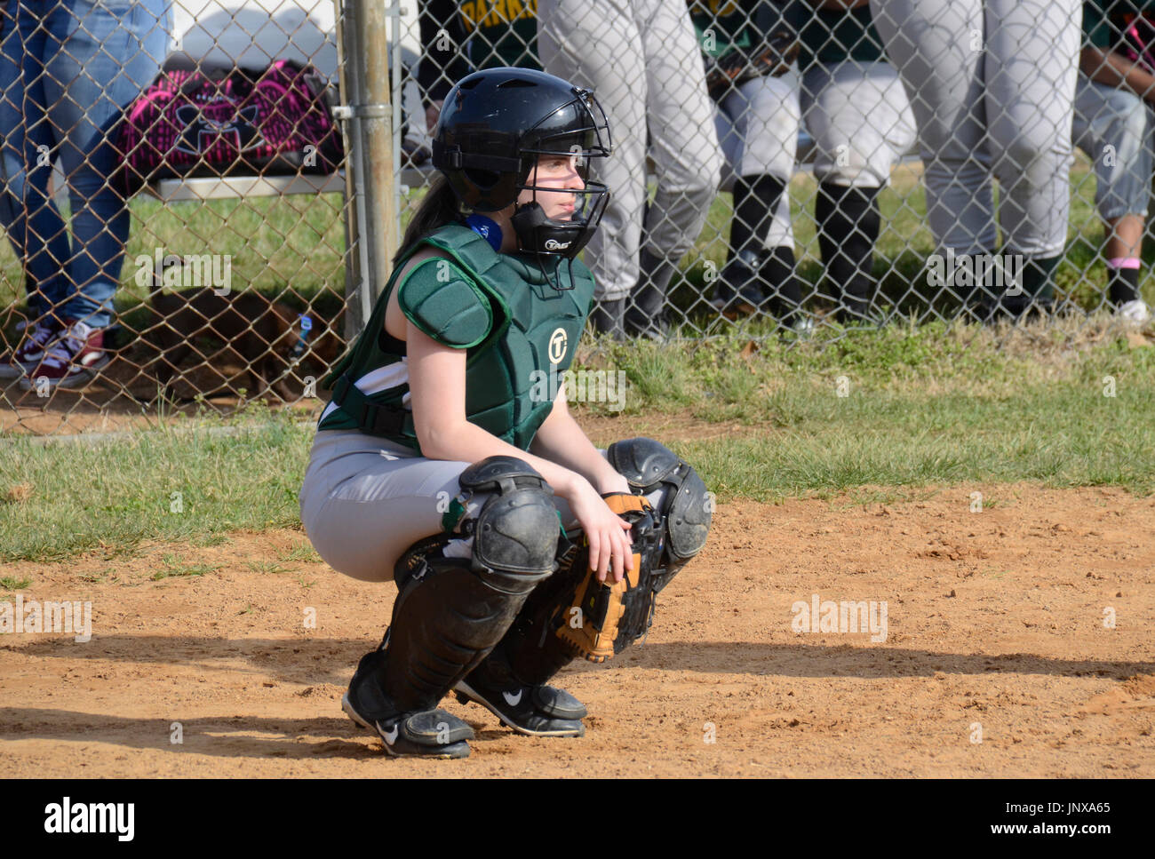 catcher in a softball game Stock Photo Alamy