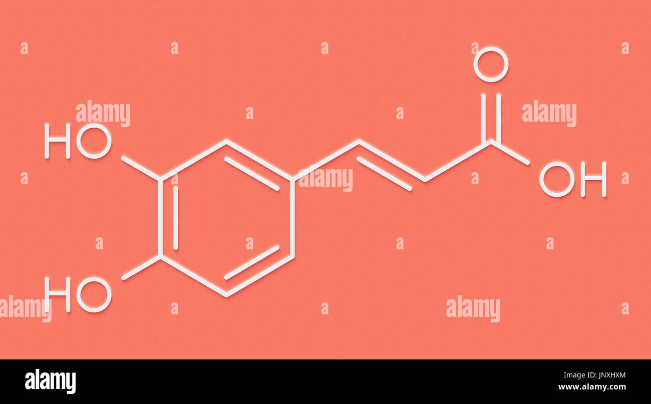 Caffeic acid molecule. Intermediate in the biosynthesis of lignin. Skeletal formula. Stock Photo