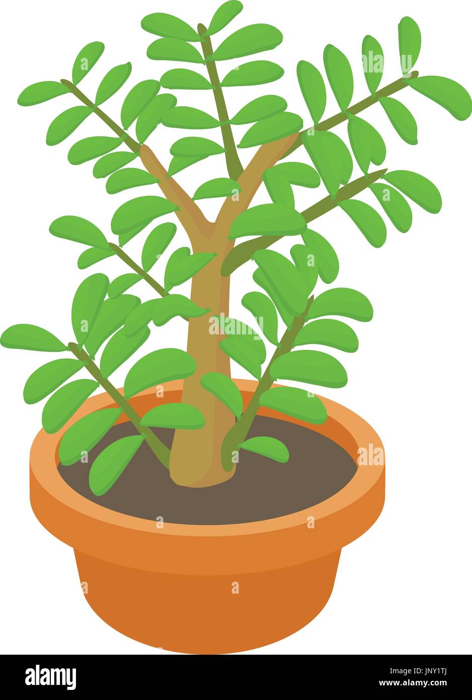 Crassula succulent plant icon, cartoon style Stock Vector