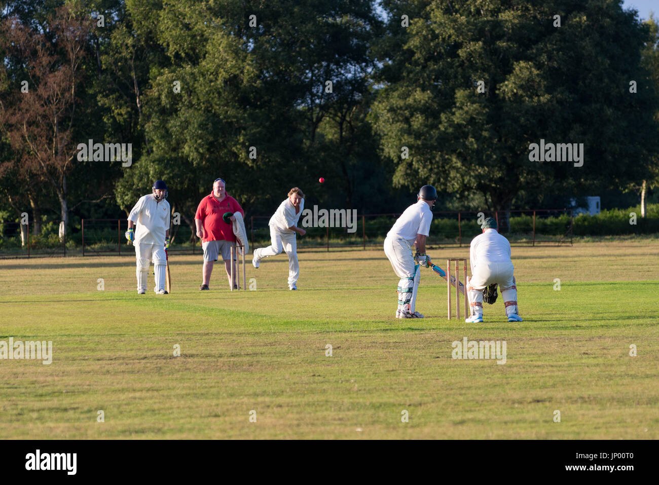 Godshill, Fordingbridge, Hampshire, UK, 31st July 2017. Summer evening village green cricket on the New Forest. The outfield needs to be cleared of cow and pony dung before play can commence. Stock Photo