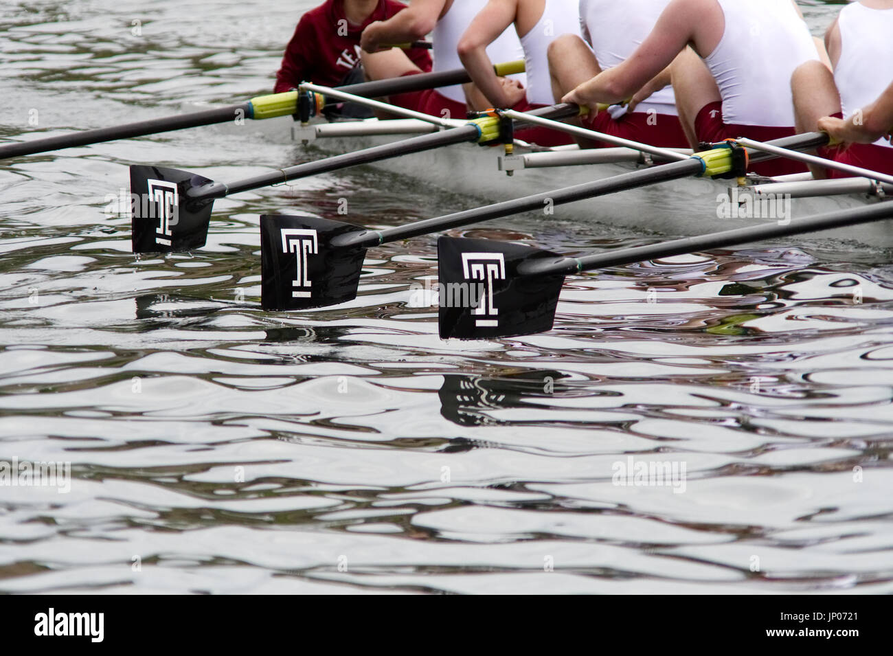 Members of a collegiate crew compete in the annual Dad Vail Regatta on the Schuylkill River in the Fairmount Park section of Philadelphia, PA Stock Photo