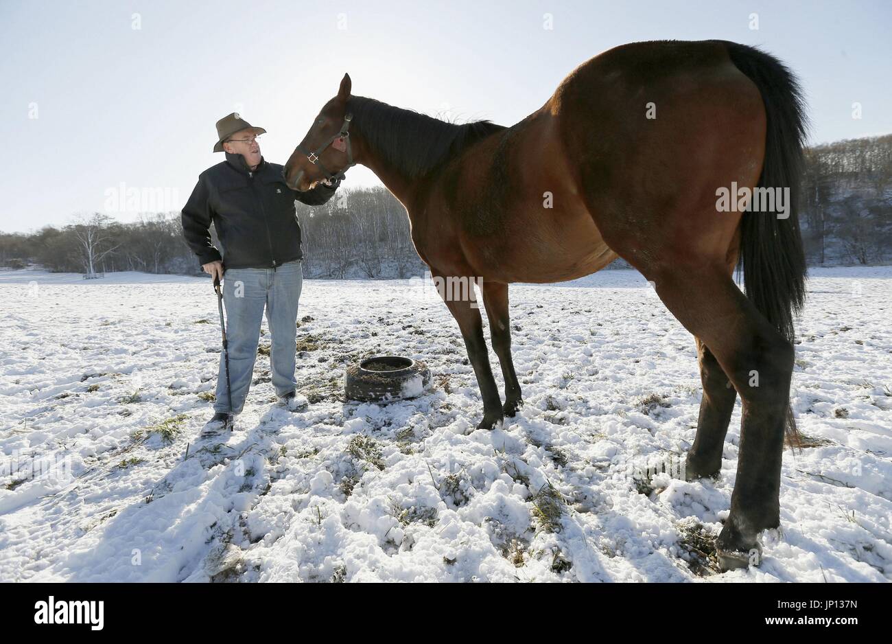 Paca Paca Farm SAPPORO, Japan - Harry Sweeney, owner of Paca Paca Farm, checks on Love ...